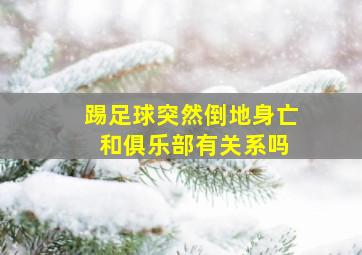 踢足球突然倒地身亡 和俱乐部有关系吗